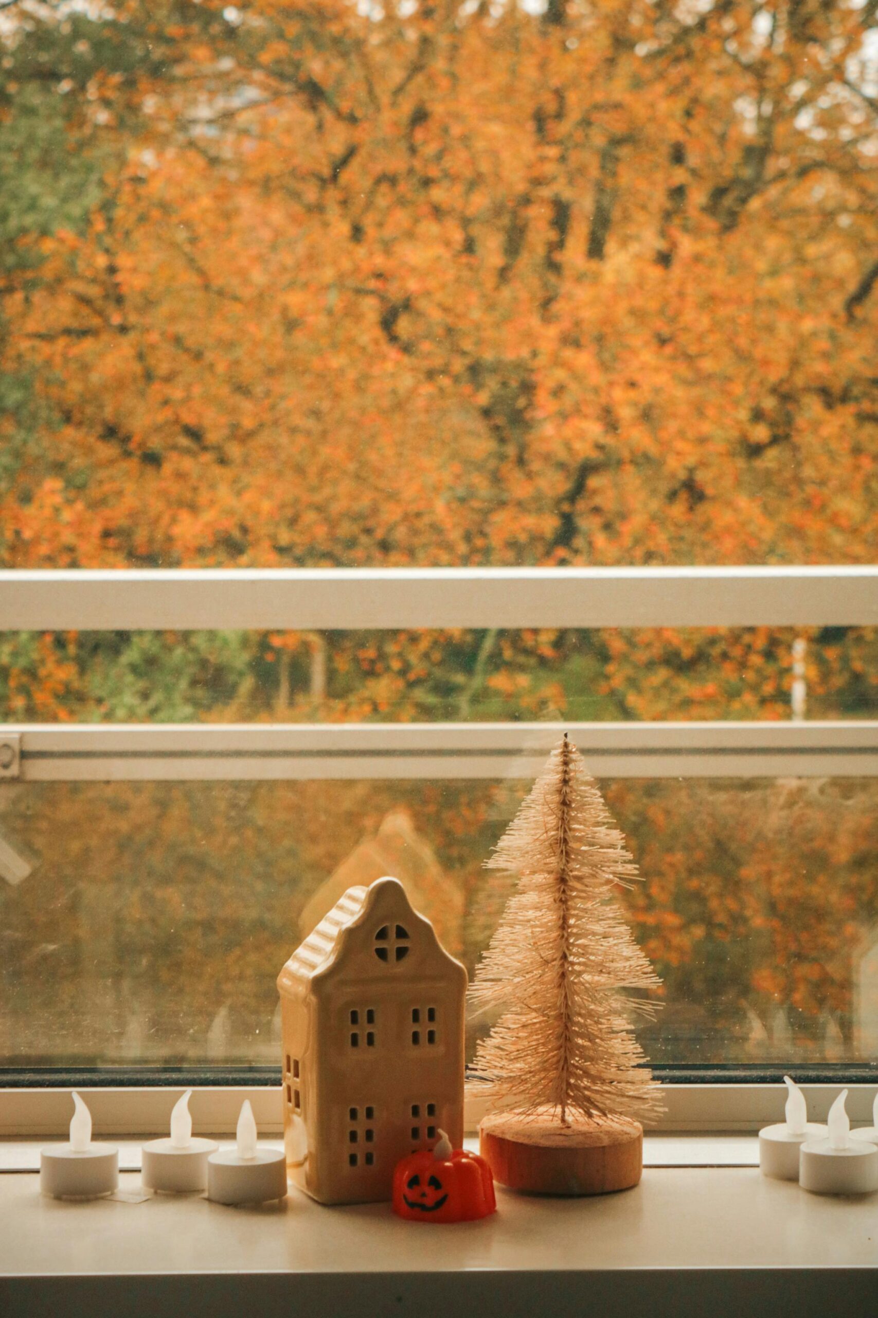 Free stock photo of autumn, comfortable home, cozy